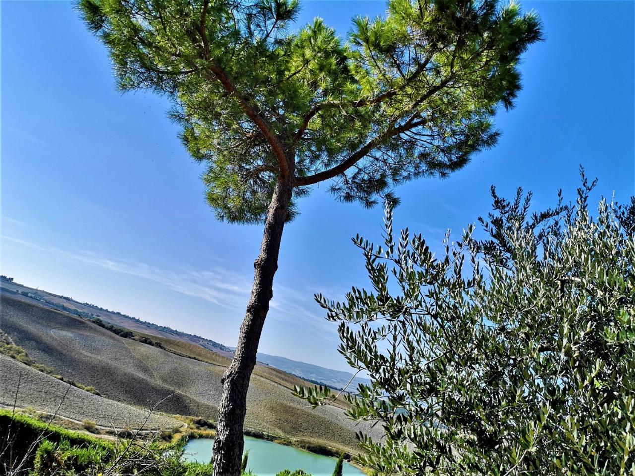Agriturismo Palazzo Conti - B Pienza Exteriör bild